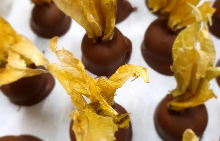praline praline
